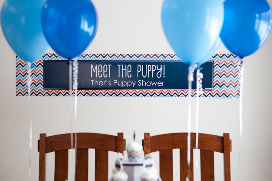 DIY puppy shower banner reading 'Meet the Puppy! Thor's Puppy Shower' with blue balloons and chevron party decorations.