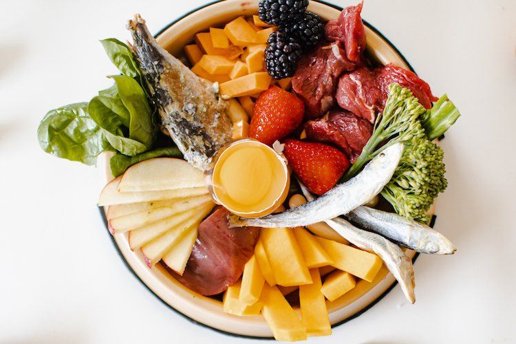 Raw dog food bowl with raw meat, sardines, egg, berries, and vegetables for a balanced canine diet.