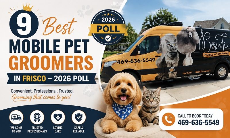 Groomed dog and cat beside a grooming van for the 9 Best Mobile Pet Groomers in Frisco.