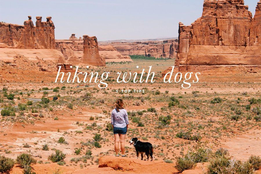 Woman and her dog overlook a red rock desert canyon. Text overlay: hiking with dogs 5 top tips.
