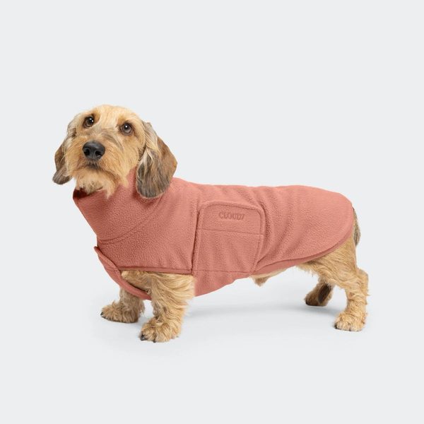 CLOUD7 Dachshund Sweater Derby 2.0