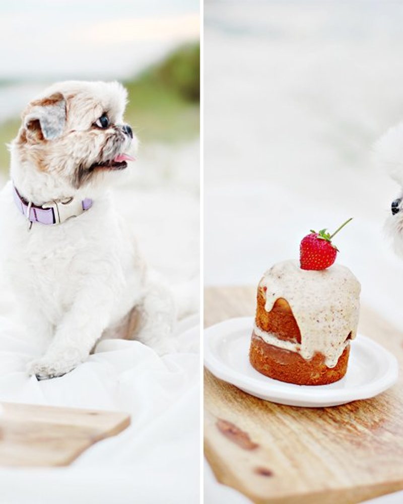 The BEST Dog Birthday Cake Recipe | The best Dog Birthday Cake Recipe of all time. Super easy to make, healthy, dog-safe ingredients and 100% tasty! Grab the FREE recipe here.