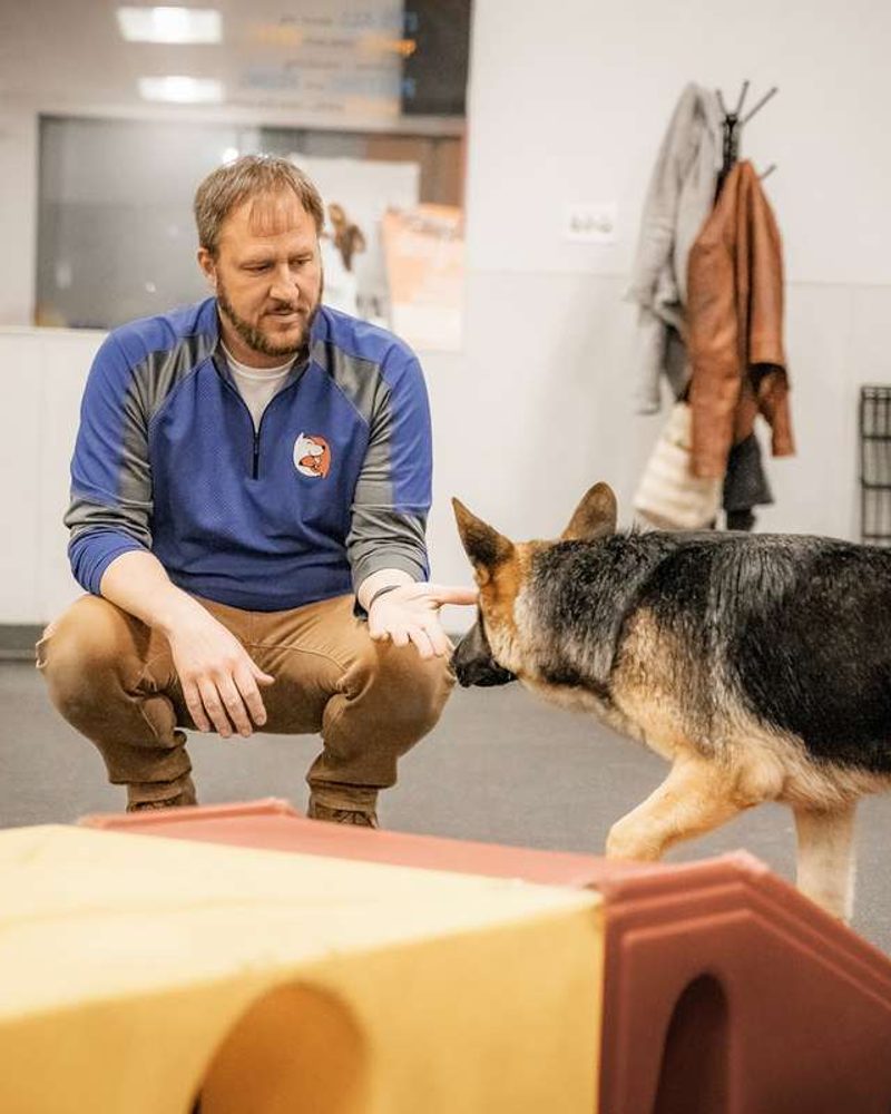 A man crouches to train a German Shepherd near an indoor agility ramp.