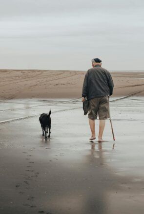 best dog breeds for seniors