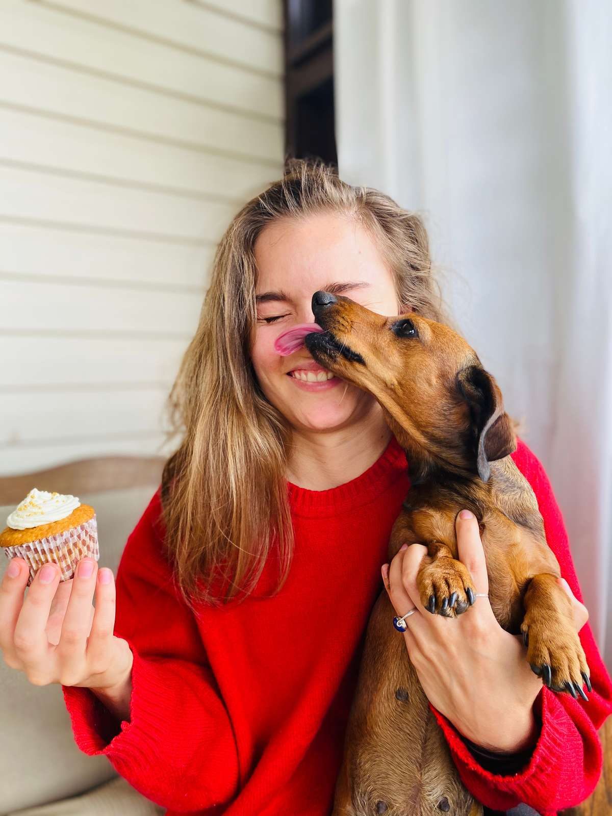 A woman in a red sweater holds a cupcake while a small brown dachshund licks her nose.