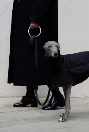 Editor’s Picks — 10 Designer Dog Collars, Leashes & Harnesses