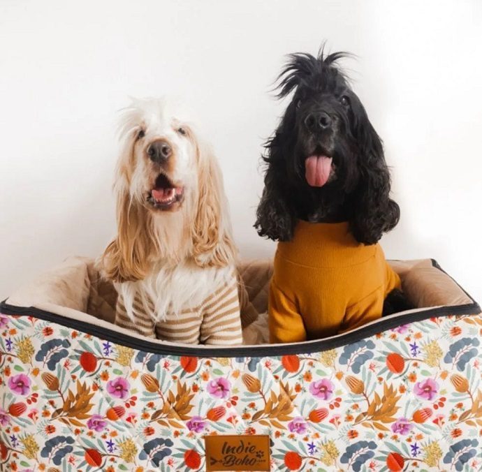 Indie Boho Double Dog Car Booster Seat, a two-dog car seat for families with a second dog