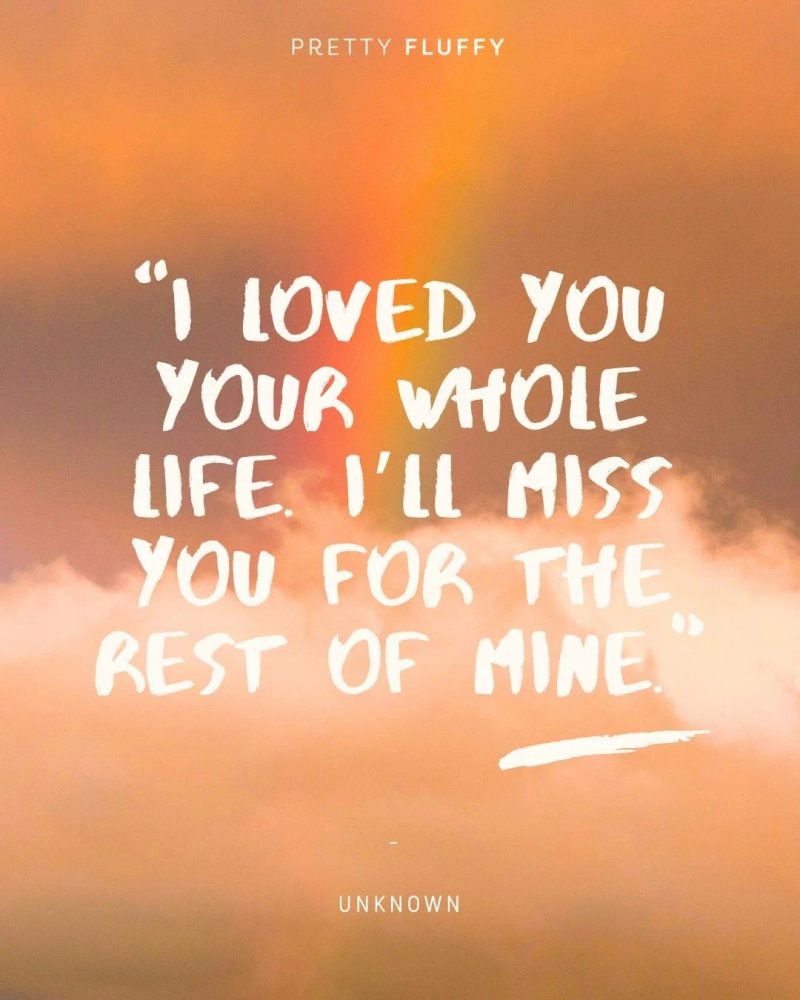 Heartfelt pet loss quote on a rainbow sky: 'I loved you your whole life. I'll miss you for the rest of mine.'