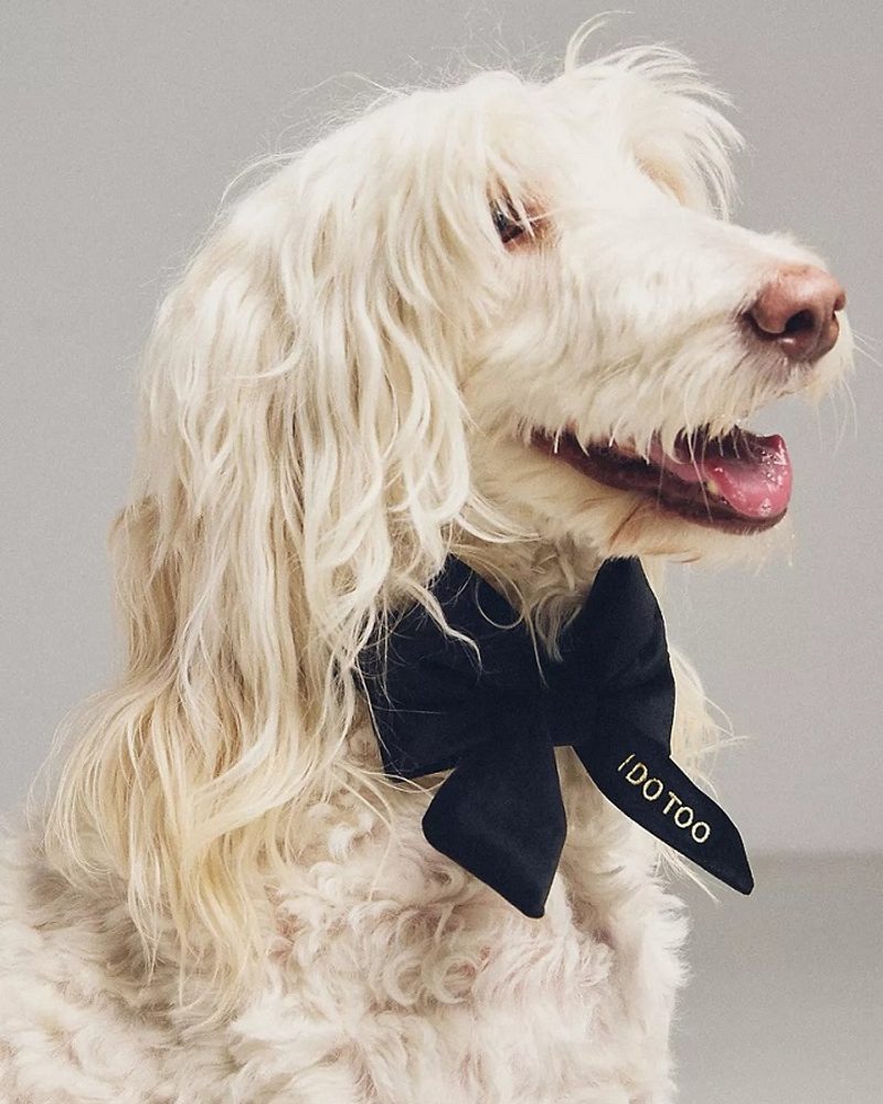 best dog bow ties