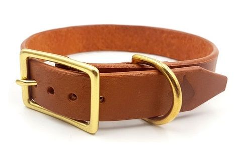Collar & Ruff