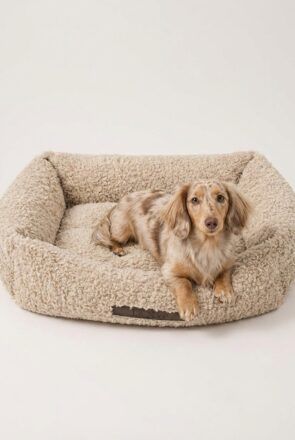 Le Noof Beige Teddy Sofa Dog Bed