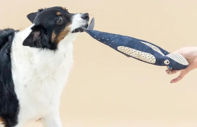 chic stylish dog toys