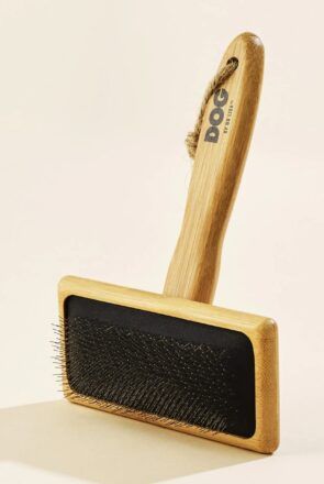 Best Dog Brushes — DOG by Dr Lisa