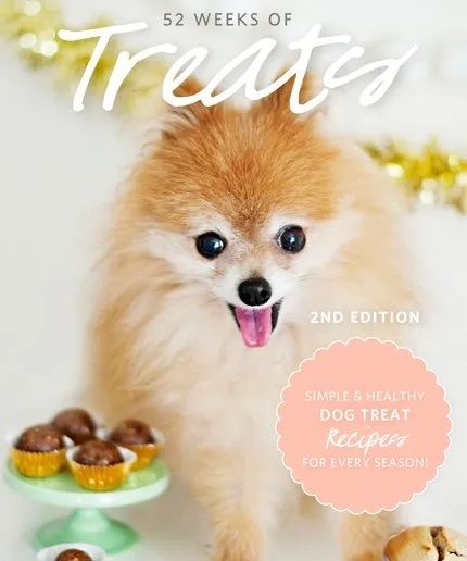 52 Weeks of Treats — healthy dog treat recipe eBook cover
