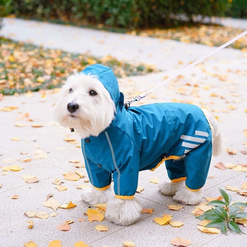 Mabawa RainCoat with Leash Hole - 9 Stylish Dog Raincoats More Trendy Than Yours