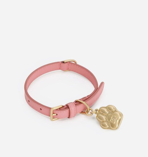 Dolce & Gabbana Dog Collar