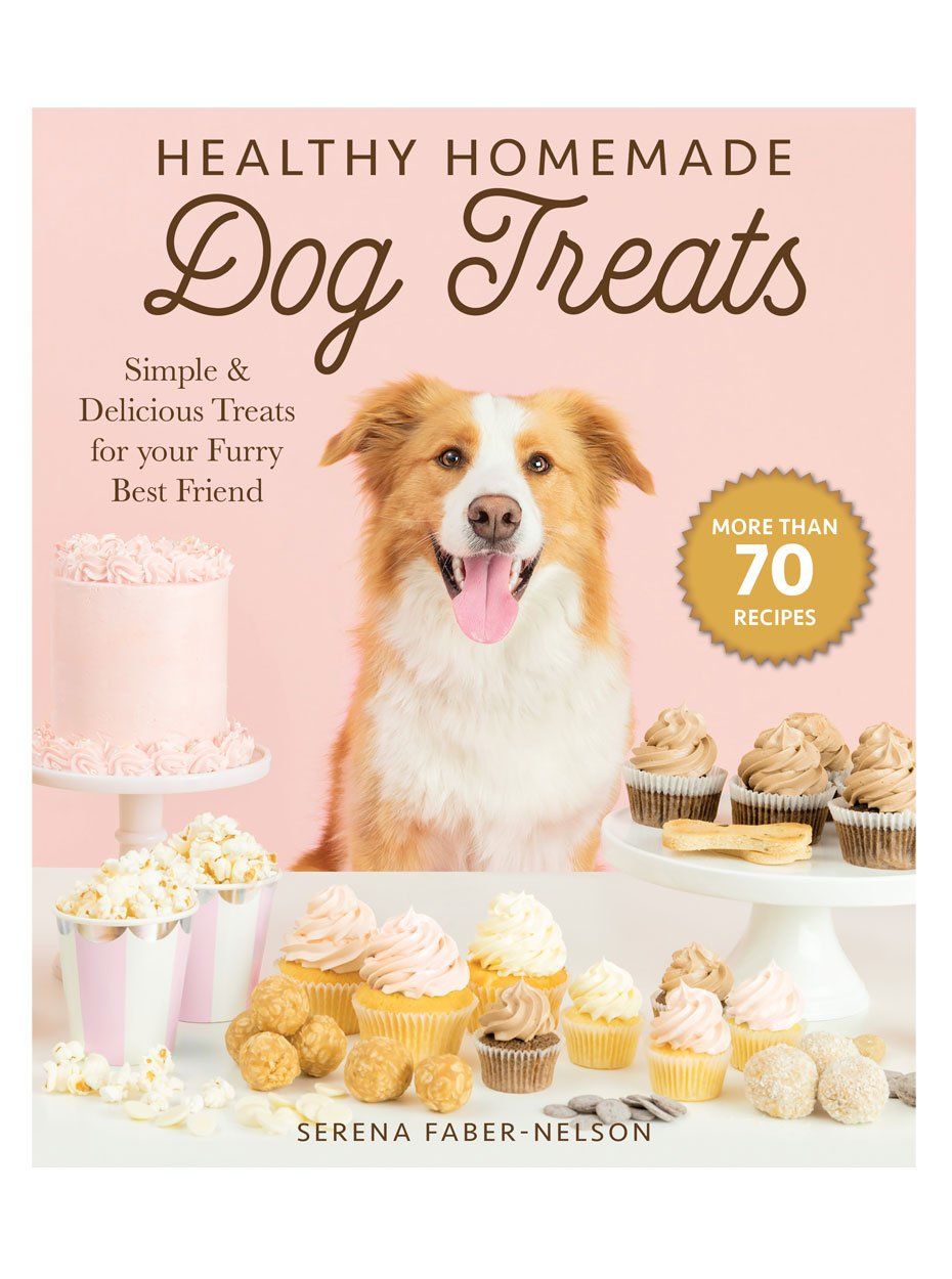 Healthy Homemade Dog Treats — book cover