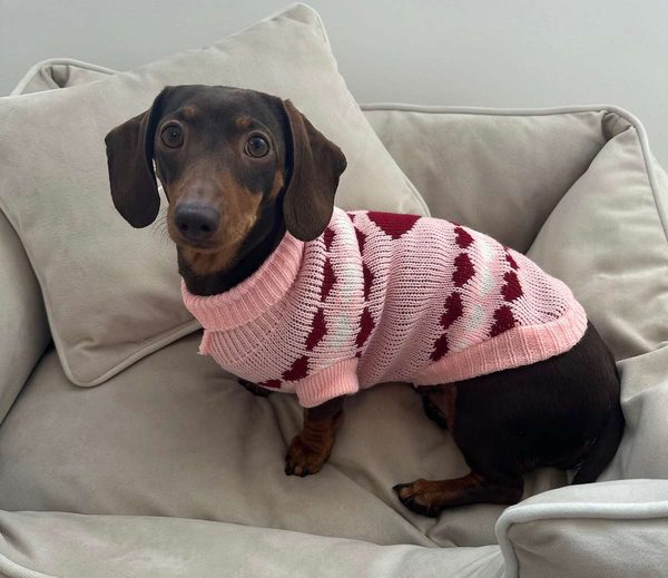 Suzie's Dog Boutique Knitted Dog Sweater