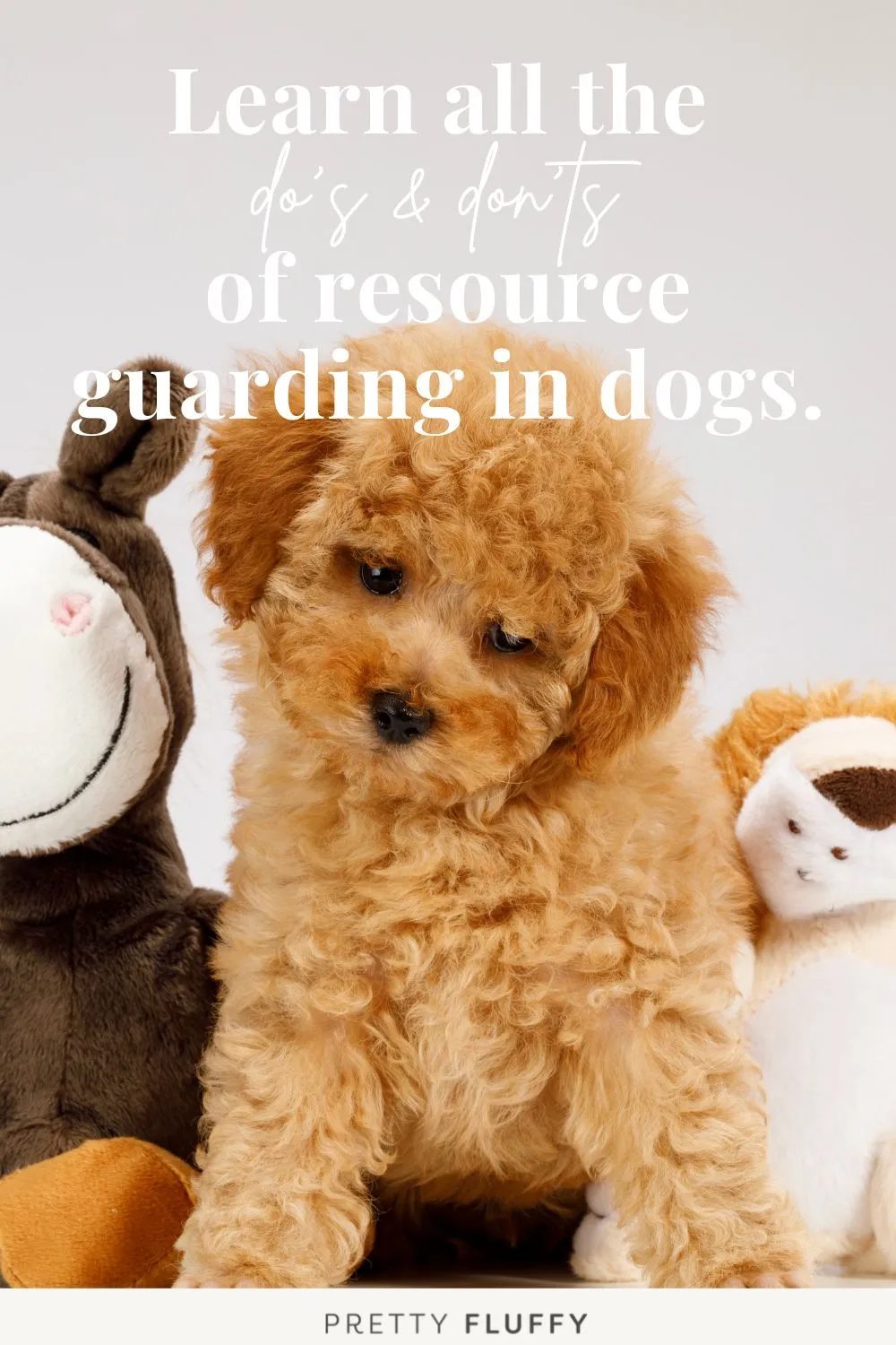 Fluffy apricot puppy sitting between plush stuffed toys.