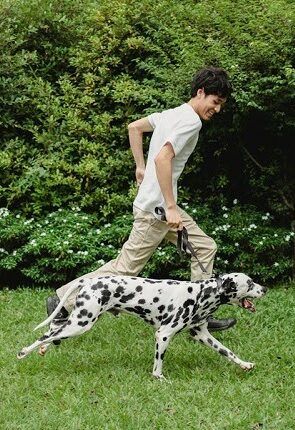 A man enjoys running with his Dalmatian dog on grass