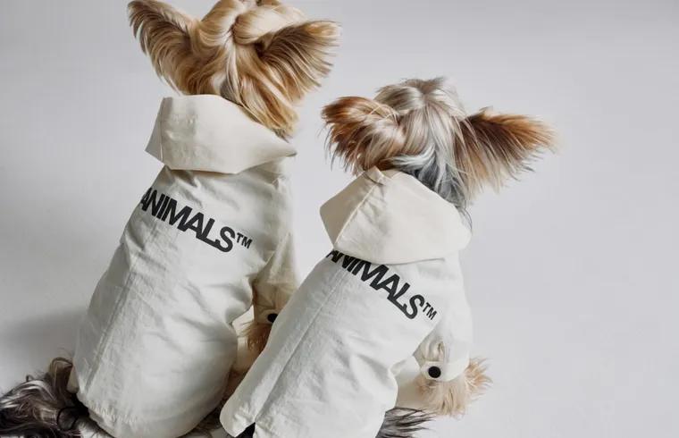luxury dog apparel by THEANIMALS