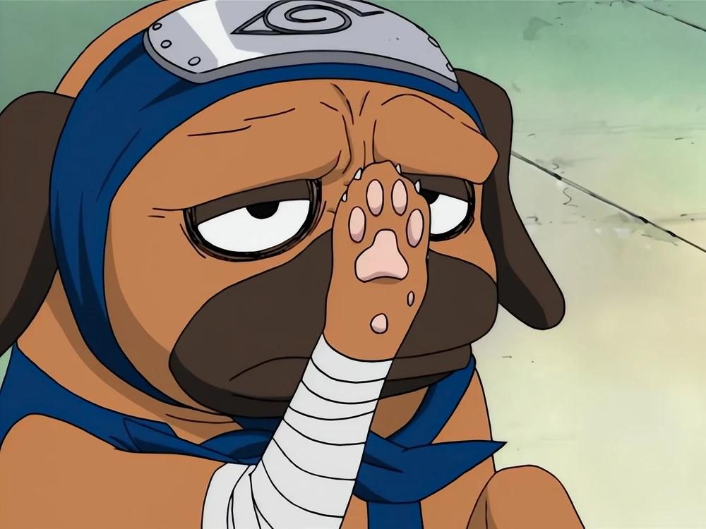 Pakkun, the ninja pug from the anime Naruto, wearing a headband and raising his paw.