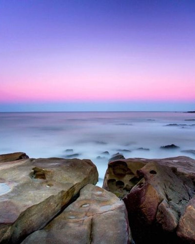 best dog friendly holiday parks in australia