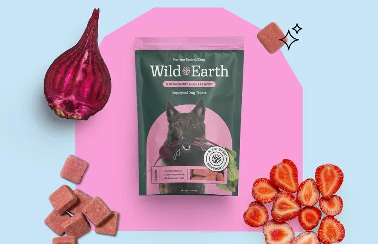 Wild Earth