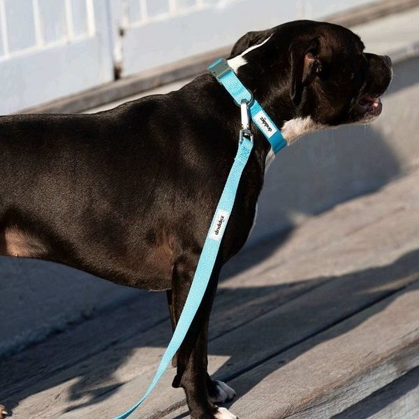 Ziippup Dog Collar