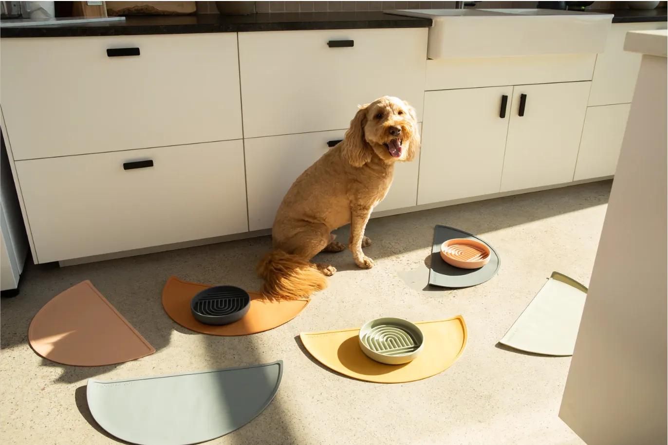 Slow feeders for dogs by Should We Go? dog brand