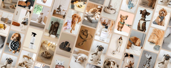 The Dog Lovers Directory — Your dog would shop here