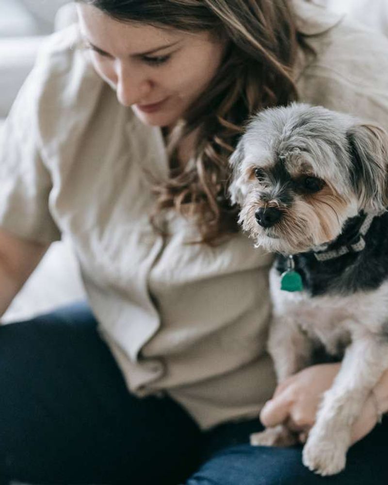 A woman holds a small scruffy dog on her lap while holding a pen.
