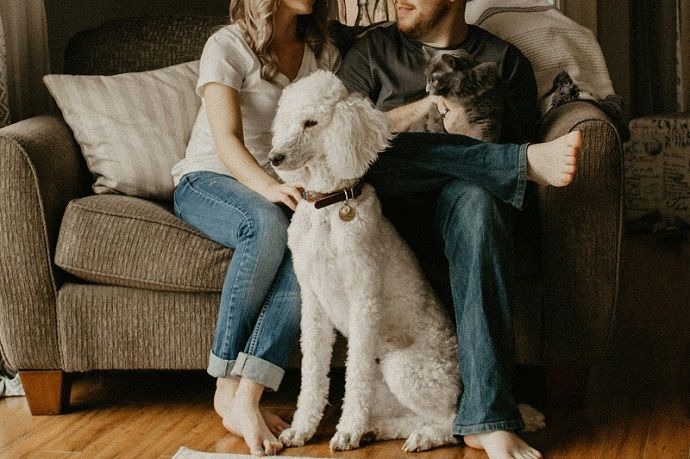 Plan Carefully for a New Baby, Pet, or Person