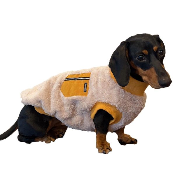 Doggy Star Dachshund Sweater