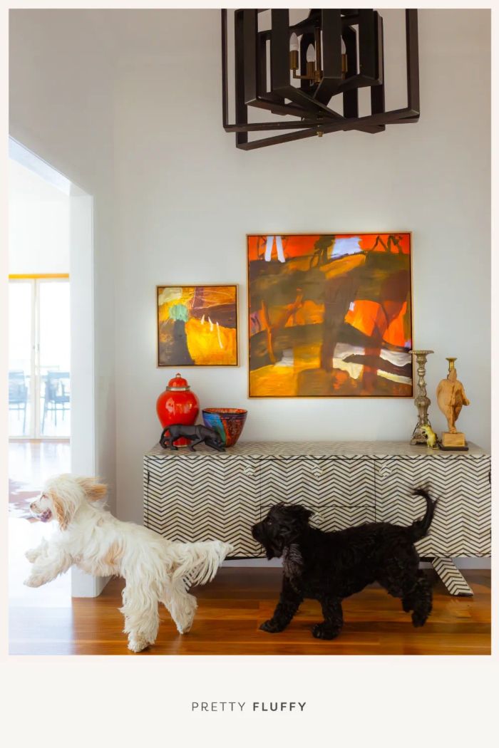 A fluffy white dog and black dog playing in a stylish entryway, showcasing chic pet-friendly living with dogs.