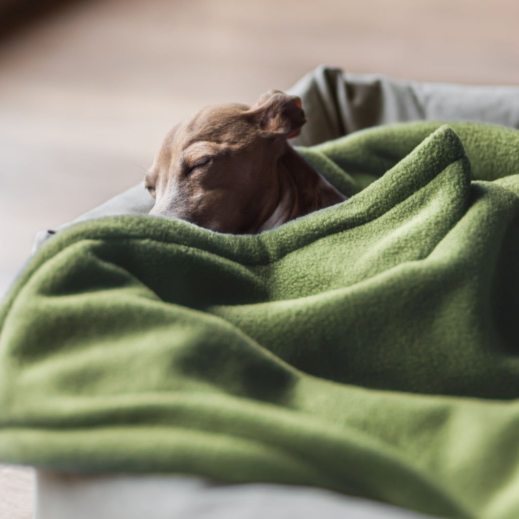 Charley Chau double fleece dog blanket