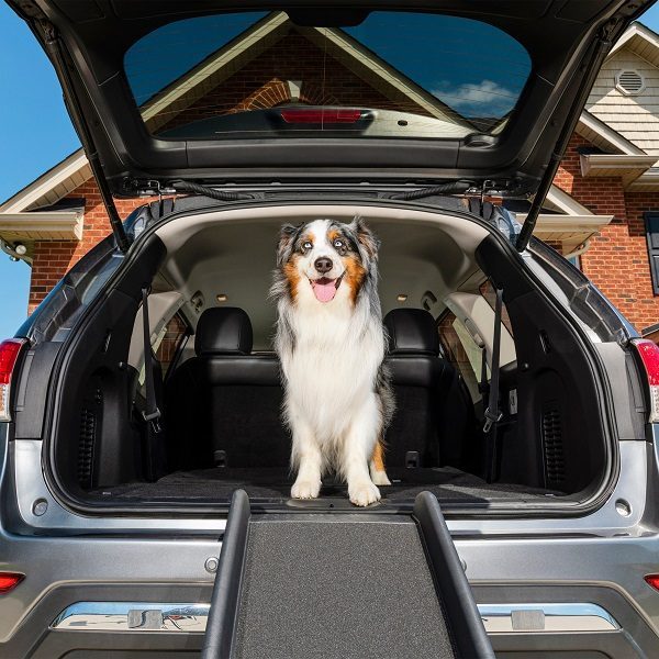 PetSafe Happy Ride Telescoping Dog Ramp