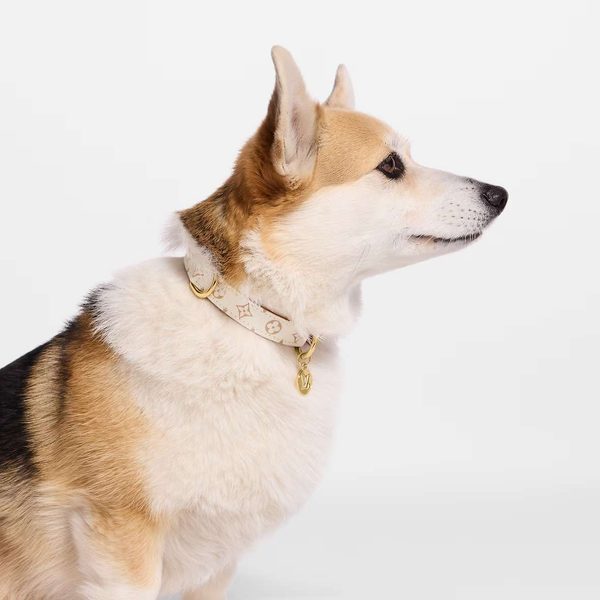 Louis Vuitton Dog Collar PM