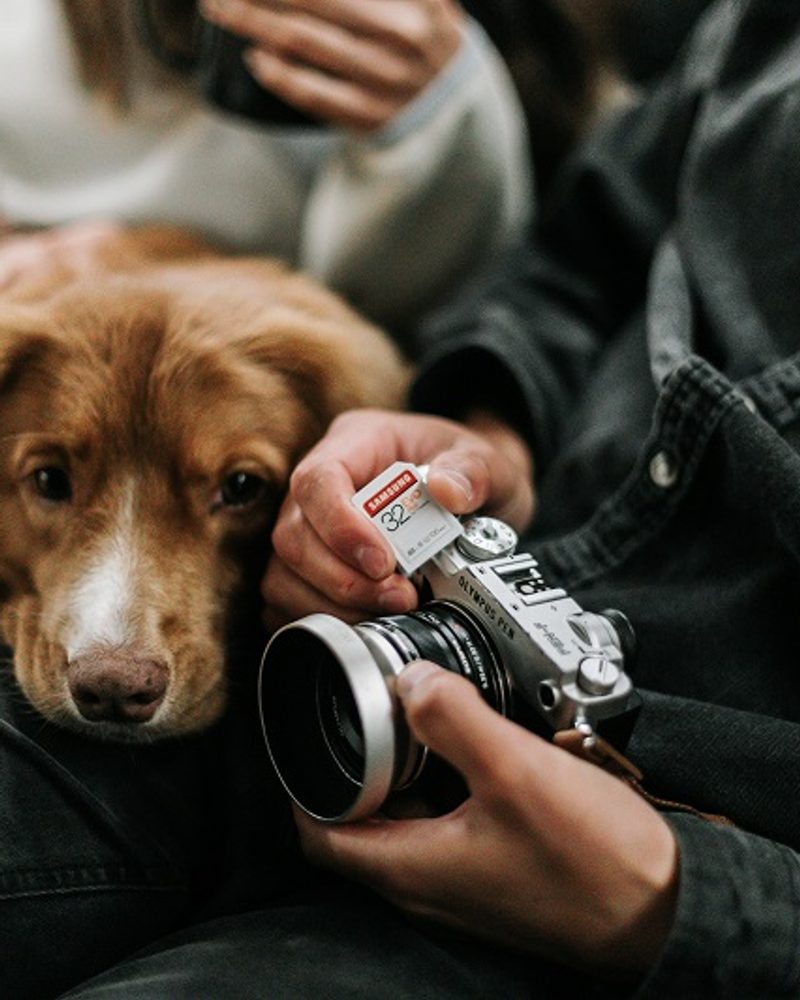 Discover how to turn your love for dogs into a career as a pet lifestyle influencer. Learn how to create authentic content, grow your audience, and monetize your passion.