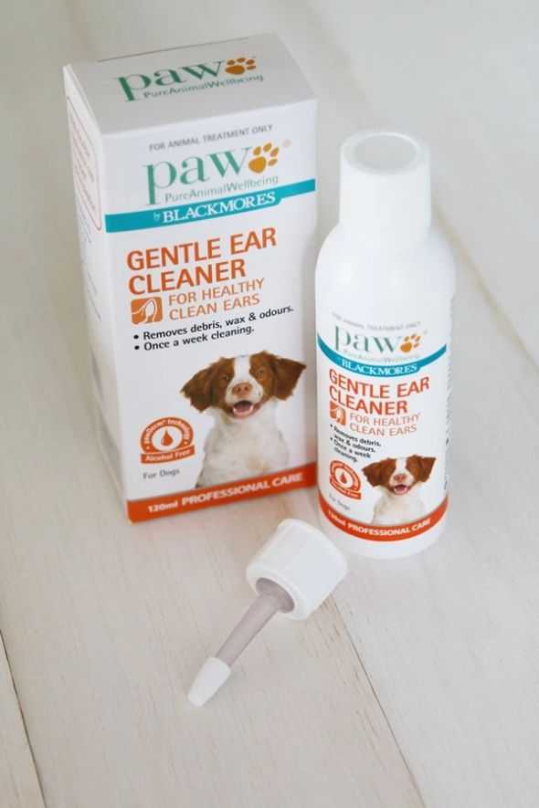 Review: Blackmores PAW Gentle Ear Cleaner www.prettyfluffy.com