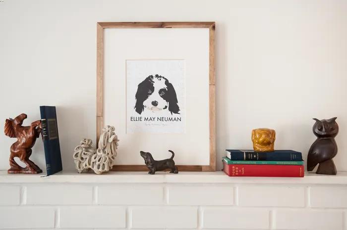 Custom Pet Portraits Illustrations by Noble Friends