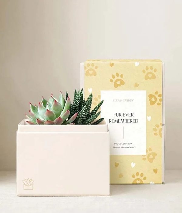 Furever Remembered Glow Garden
