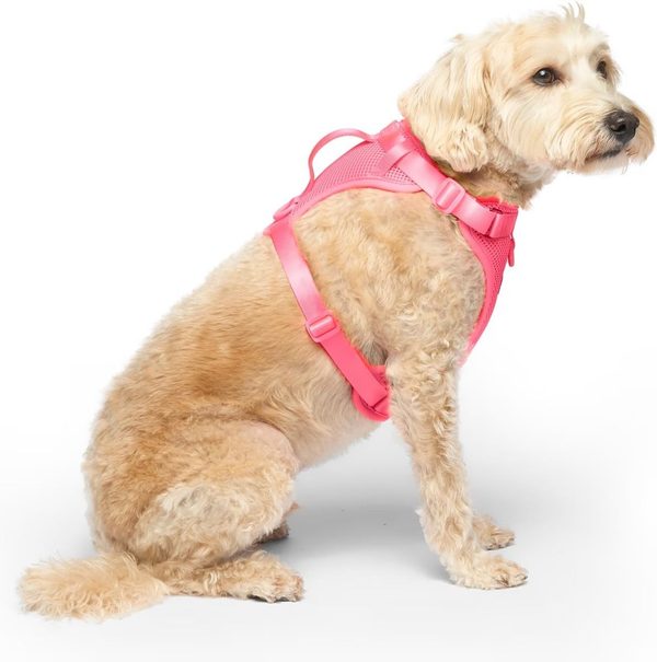 Canada Pooch Everything No Pull Harness