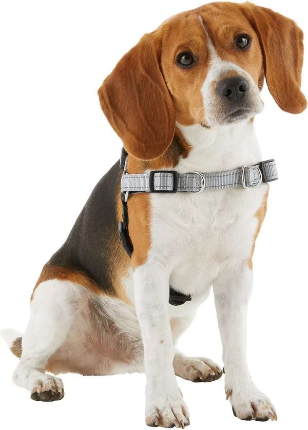 Frisco Padded Reflective No Pull Harness