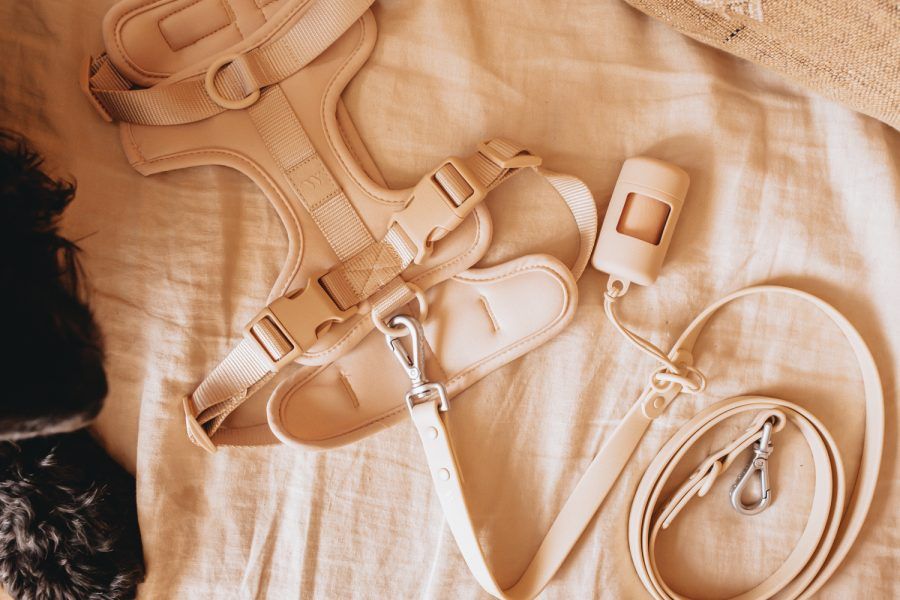 Tan padded dog harness set with matching leash and poop bag dispenser on a neutral linen background.