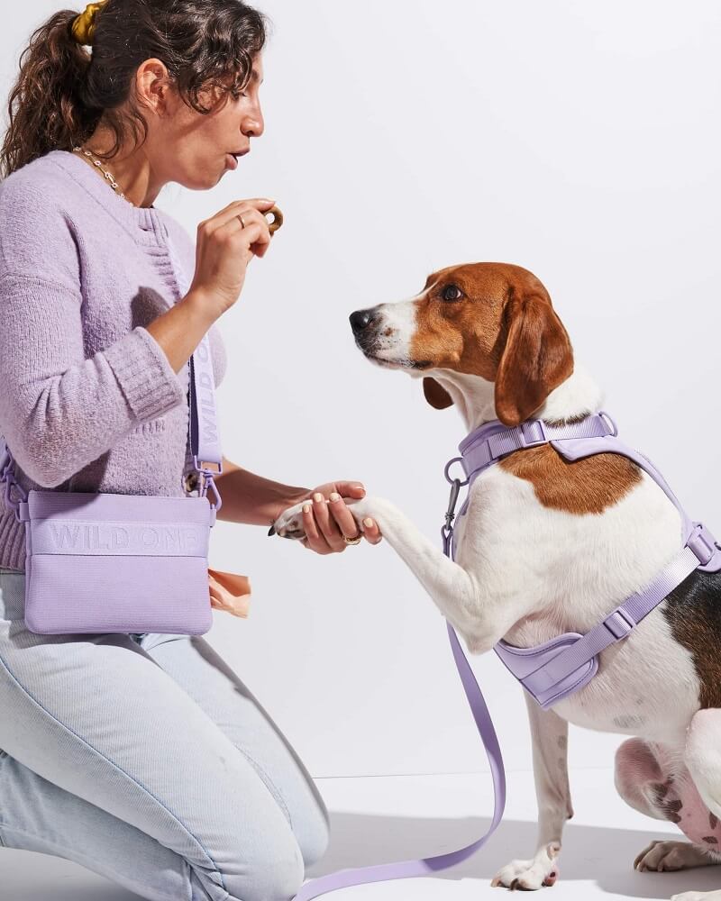 wild one - best dog pouch