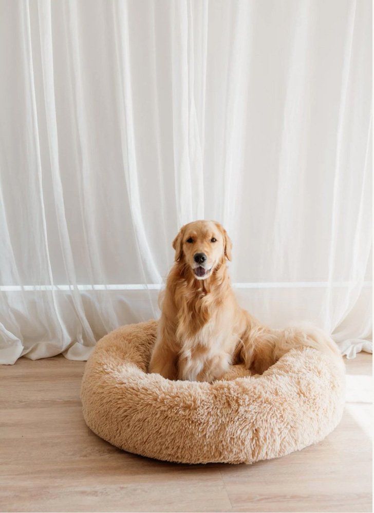 | Australian Dog Beds: 13 Best Luxury Dog Beds