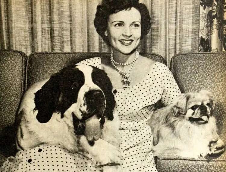 Black-and-white photo of Betty White smiling on a couch beside a large dog and a small Pekingese.
