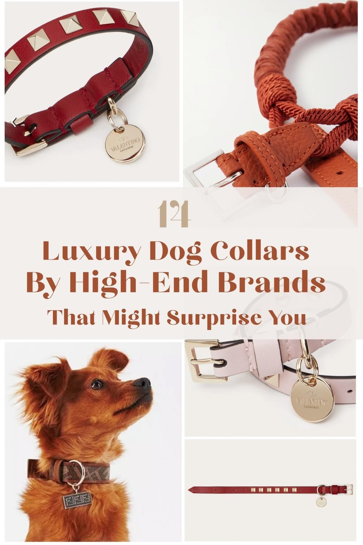 Collection of luxury dog collars by high-end designer fashion labels.