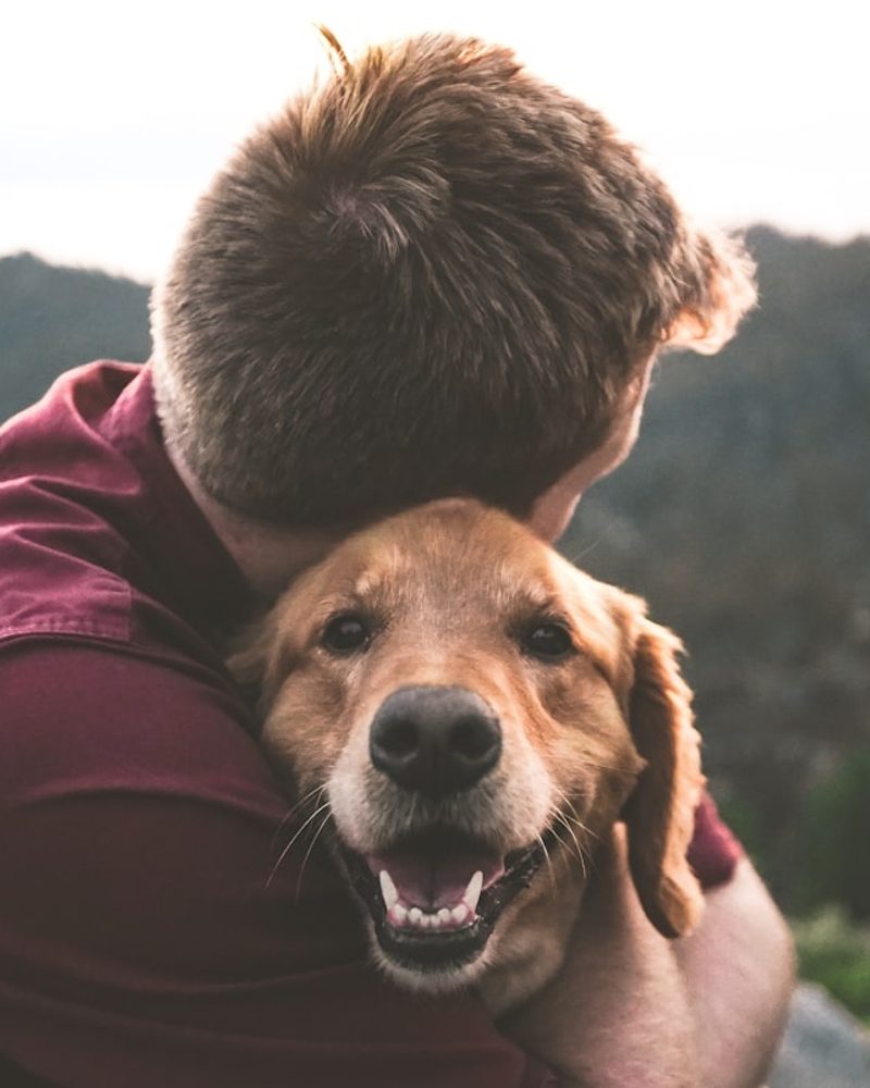 A man hugs a happy golden retriever outdoors against a scenic mountain landscape.